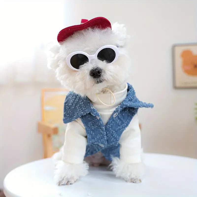 Köpek Modası Beyzbol Şapkası v - Street Fashion Shoot incelemesi ve fiyatı